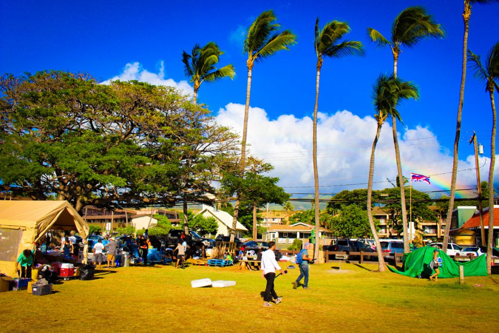 Lahaina 81423 1 1024x683